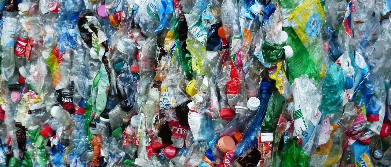 Where did all the beverage bottles in the recycling bin end up?