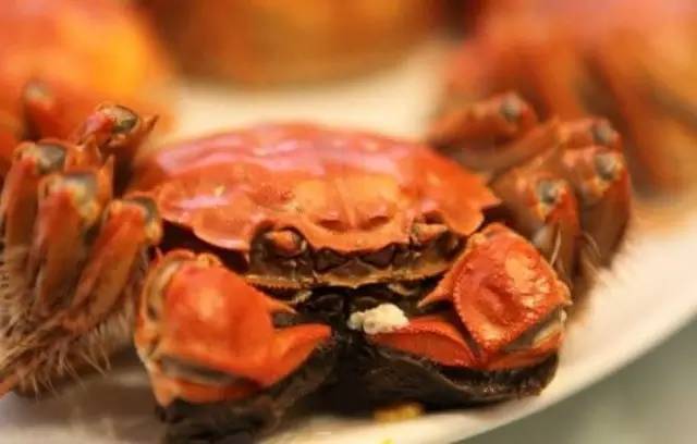 Life question: why does the crab turn red when it is ripe?