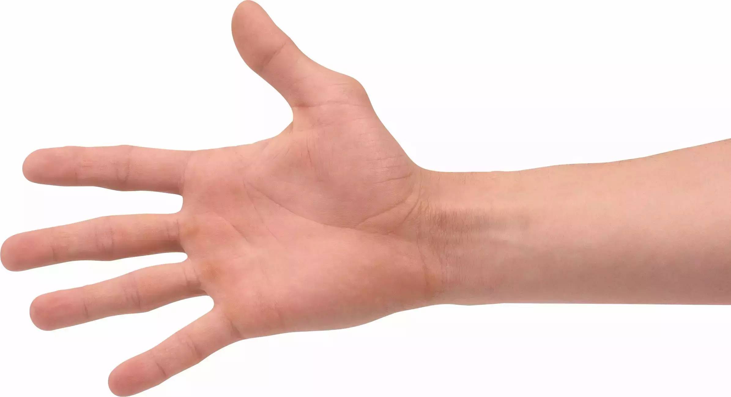Bean knowledge: the muscle that controls the finger is not on the finger.